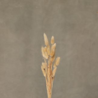 Leren fotoachtergrond M | Tundra Grey