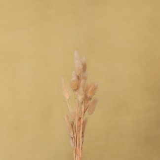 Leren fotoachtergrond L | Dandelion