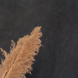 Leren fotoachtergrond XL | Storm Chaser