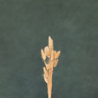 Leren fotoachtergrond L | Highland Green