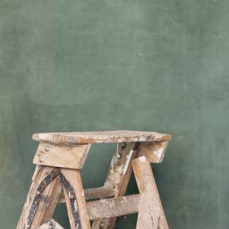 Leren fotoachtergrond L | Rosemary Green