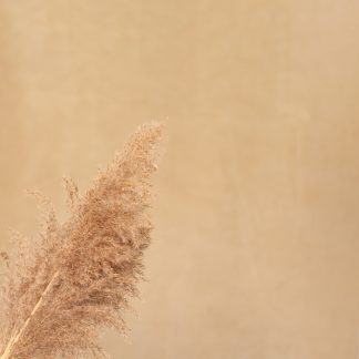 Leren fotoachtergrond XL | Vanilla