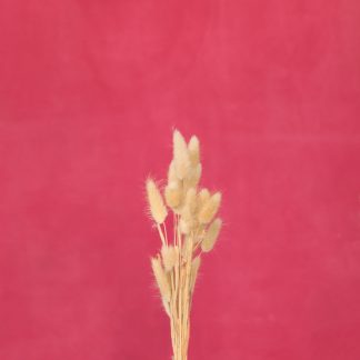 Leren fotoachtergrond L | Magenta