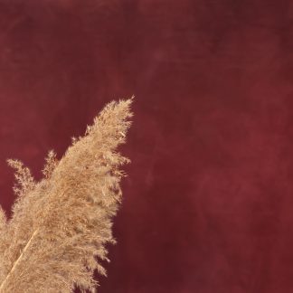 Leren fotoachtergrond XL | Deep Maroon