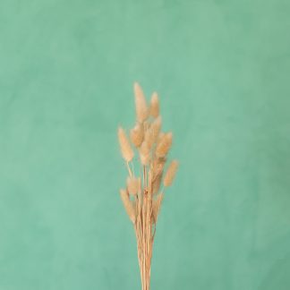 Leren fotoachtergrond L | Menthol Green