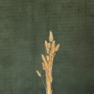 Leren fotoachtergrond L | Bamboo