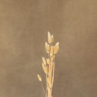 Leren fotoachtergrond M | Fawn beige