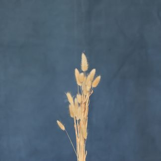 Leren fotoachtergrond M | Kobalt