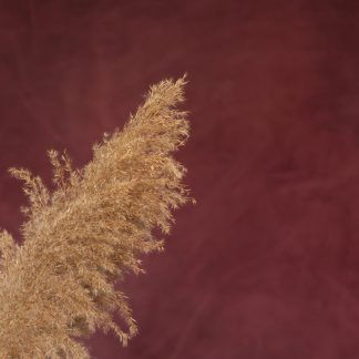 Leren fotoachtergrond M | Vino